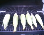 Corn on the Grill