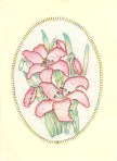 Birthday Card