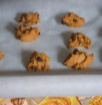 007 Pumpkin Chocolate Chip Cookies