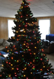 My tree sans decorations