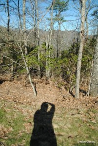 I've always had a thing for shadow shots.