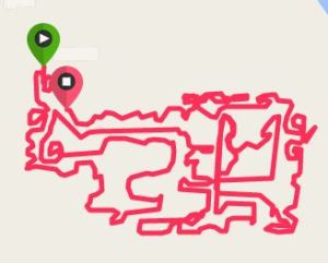 Garmin track of the maze
