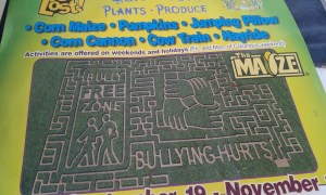 This year's theme was all about not being a bully.